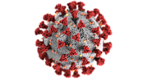 Вспышка коронавируса по-прежнему представляет собой ЧСЗМС