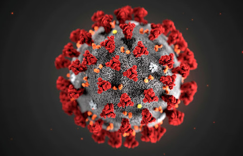 ВОЗ: жертв коронавируса в 2-3 раза больше