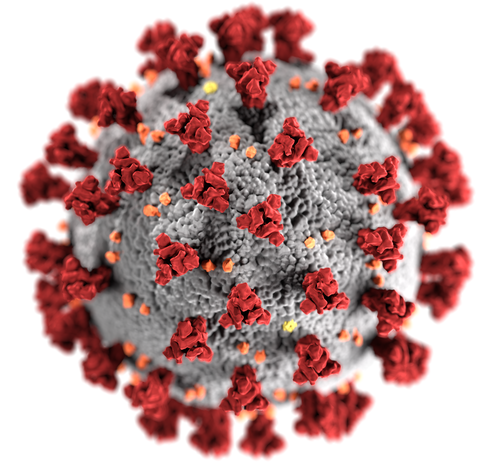 ВОЗ сообщила о стабилизации темпов распространения коронавируса в мире